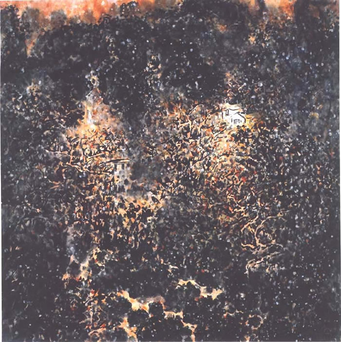 ��һ��wym ɽˮ�ֻ���Ʒ