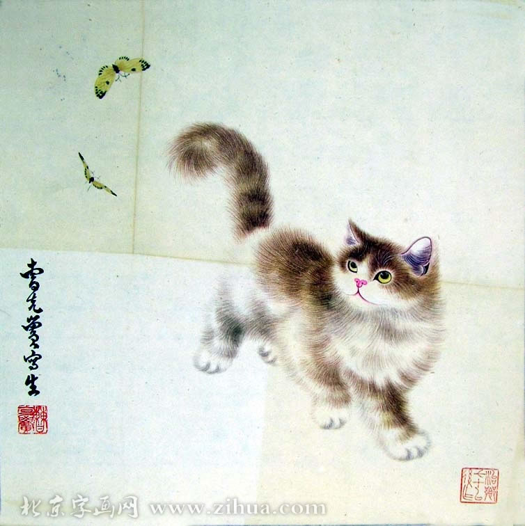 �ܿ���ckh �����ֻ���Ʒ