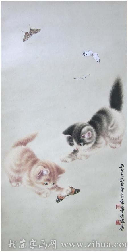 �ܿ���ckh �����ֻ���Ʒ