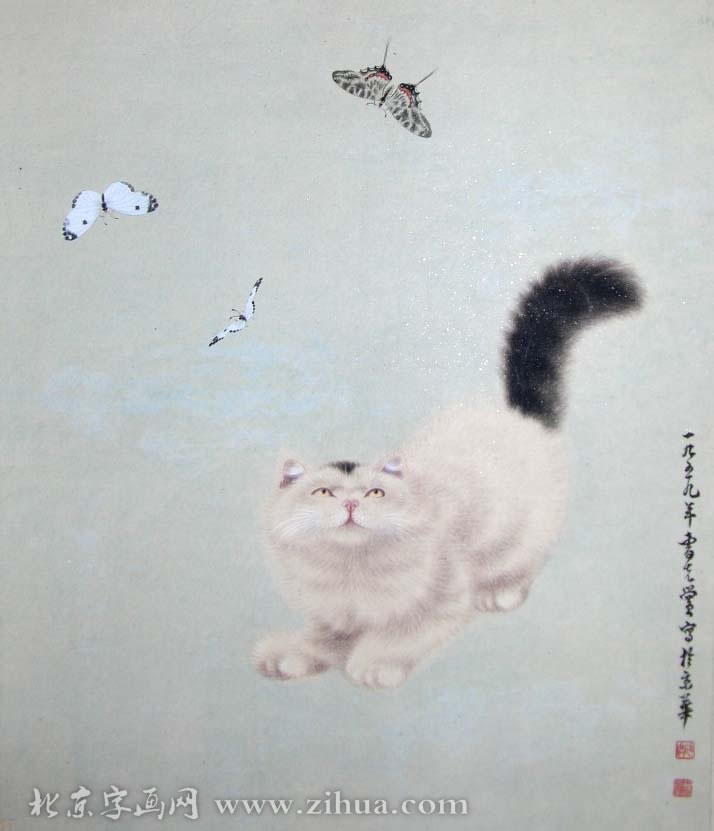 �ܿ���ckh �����ֻ���Ʒ