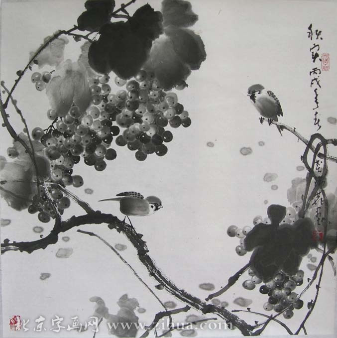 ����¹crl �����ֻ���Ʒ