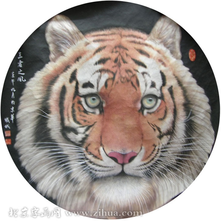 ������dtc ���ֻ���Ʒ