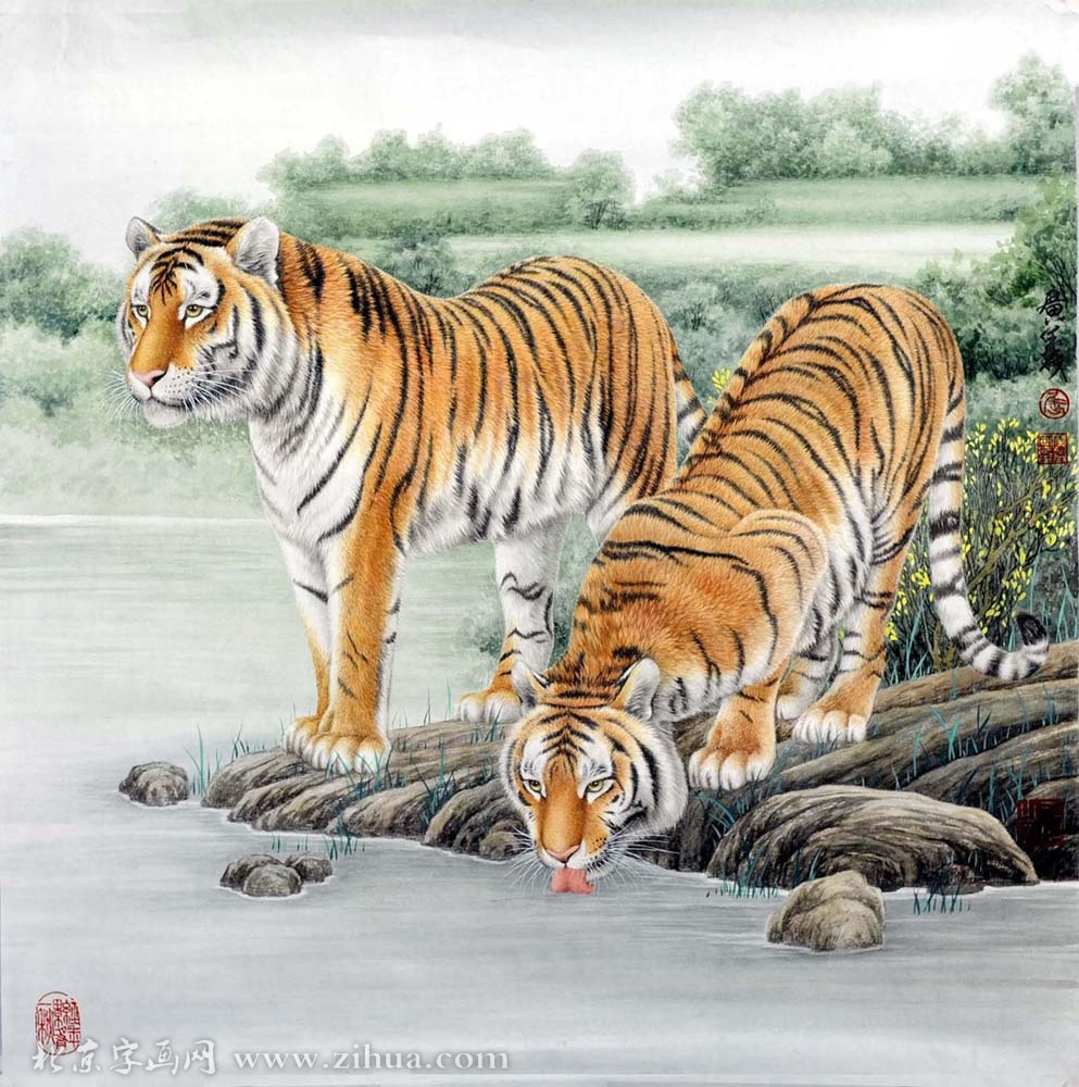 ������qgy ���ֻ���Ʒ