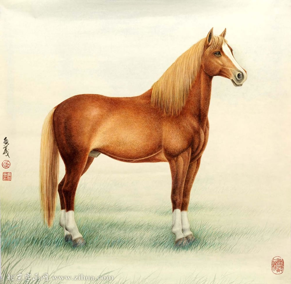 ������qgy ���ֻ���Ʒ