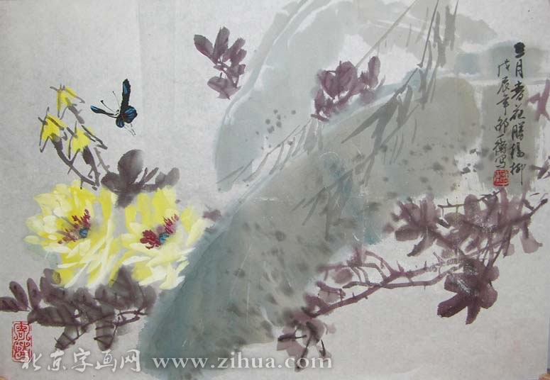 ��һ��syh �����ֻ���Ʒ