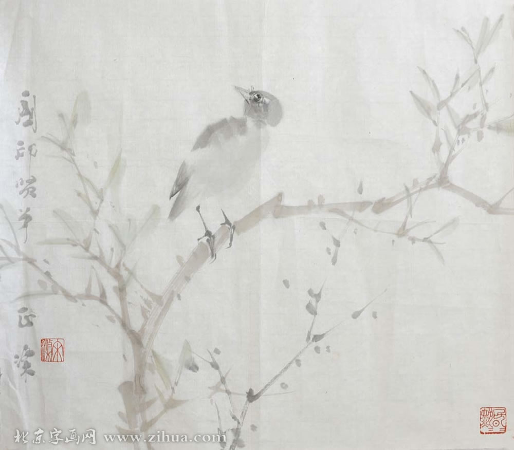 �ε�sd ɽˮ�ֻ���Ʒ