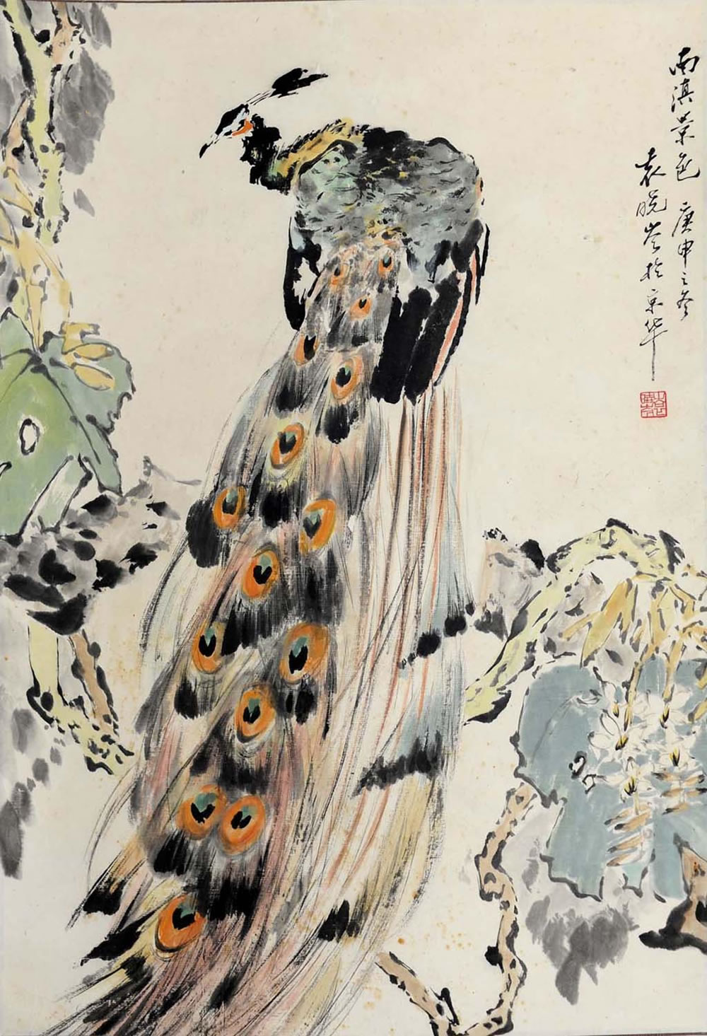 Ԭ���yxc �����ֻ���Ʒ