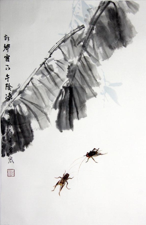 �ճ���hcy �����ֻ���Ʒ