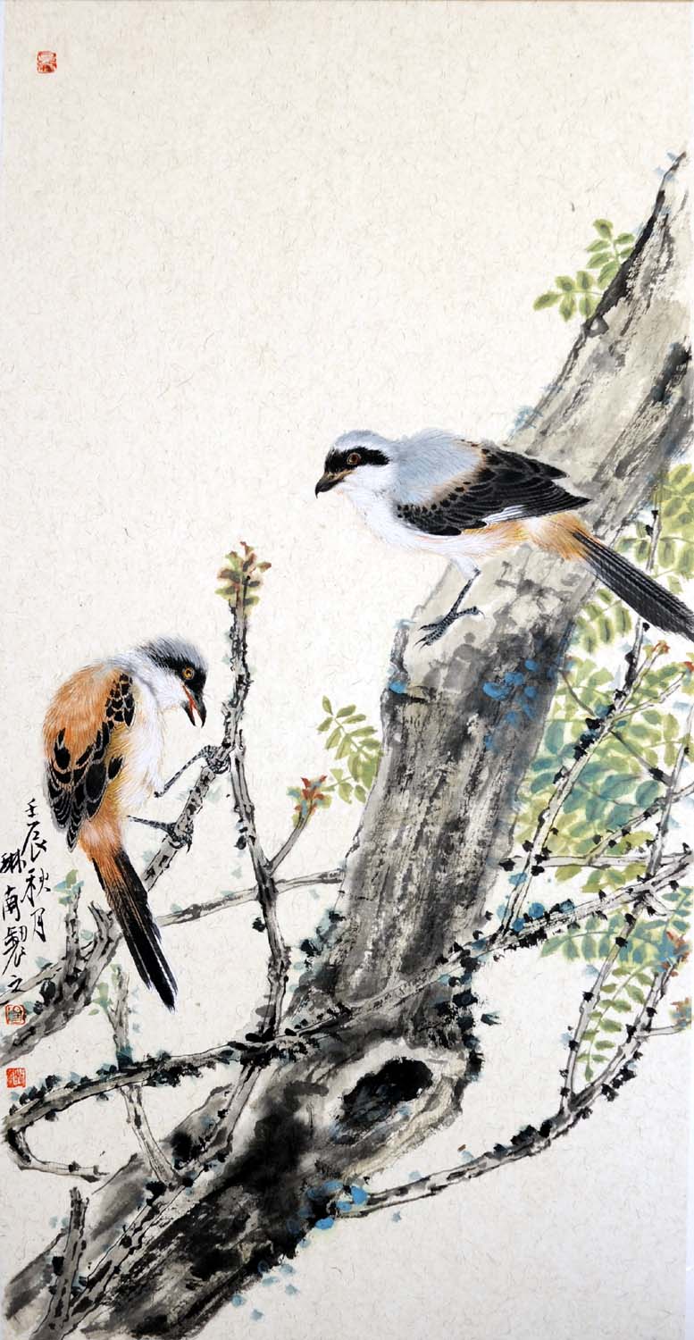 ������tln �����ֻ���Ʒ