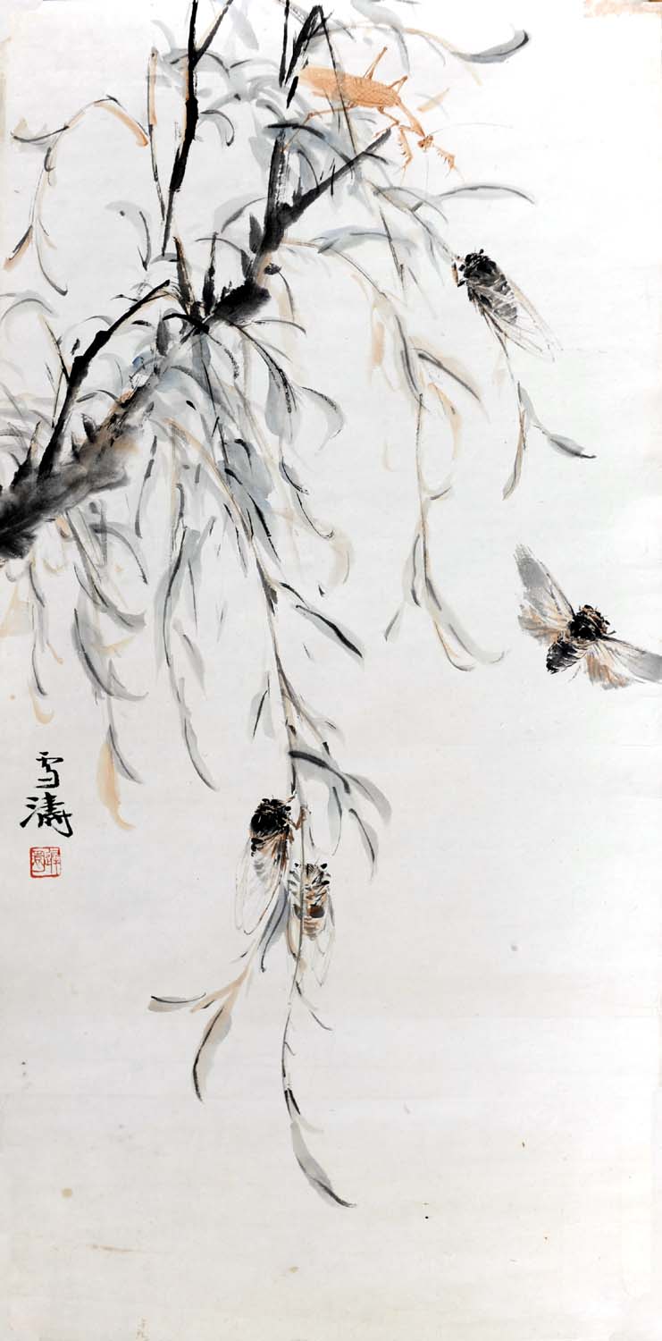 ��ѩ��wxt ��������ֻ���Ʒ