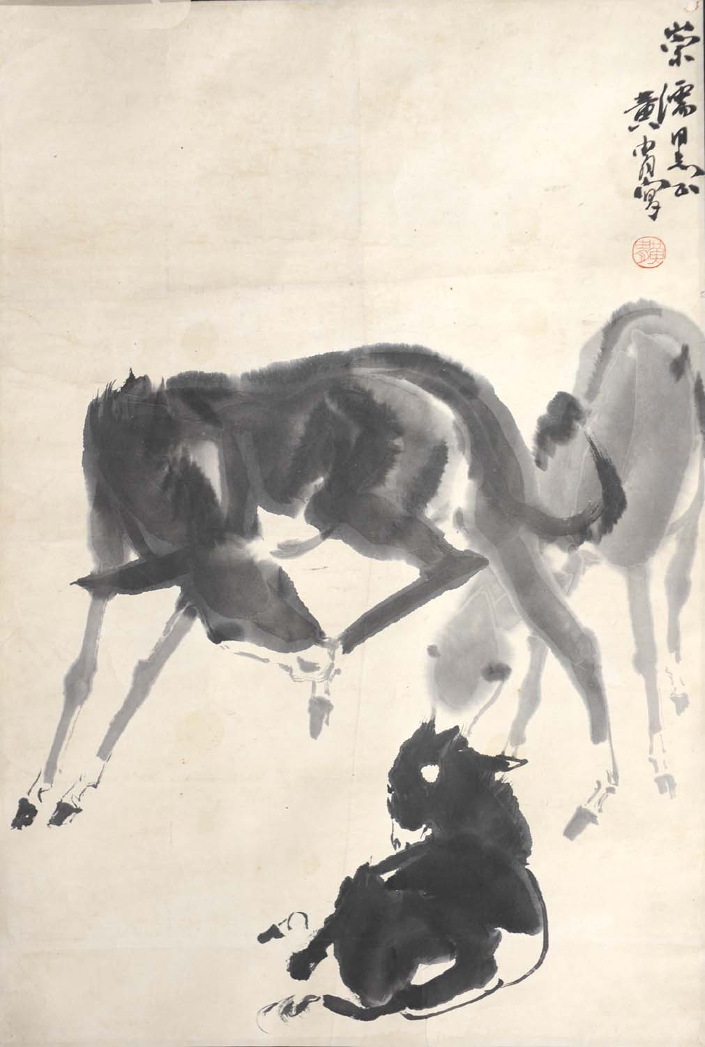 ����hz ¿�ֻ���Ʒ