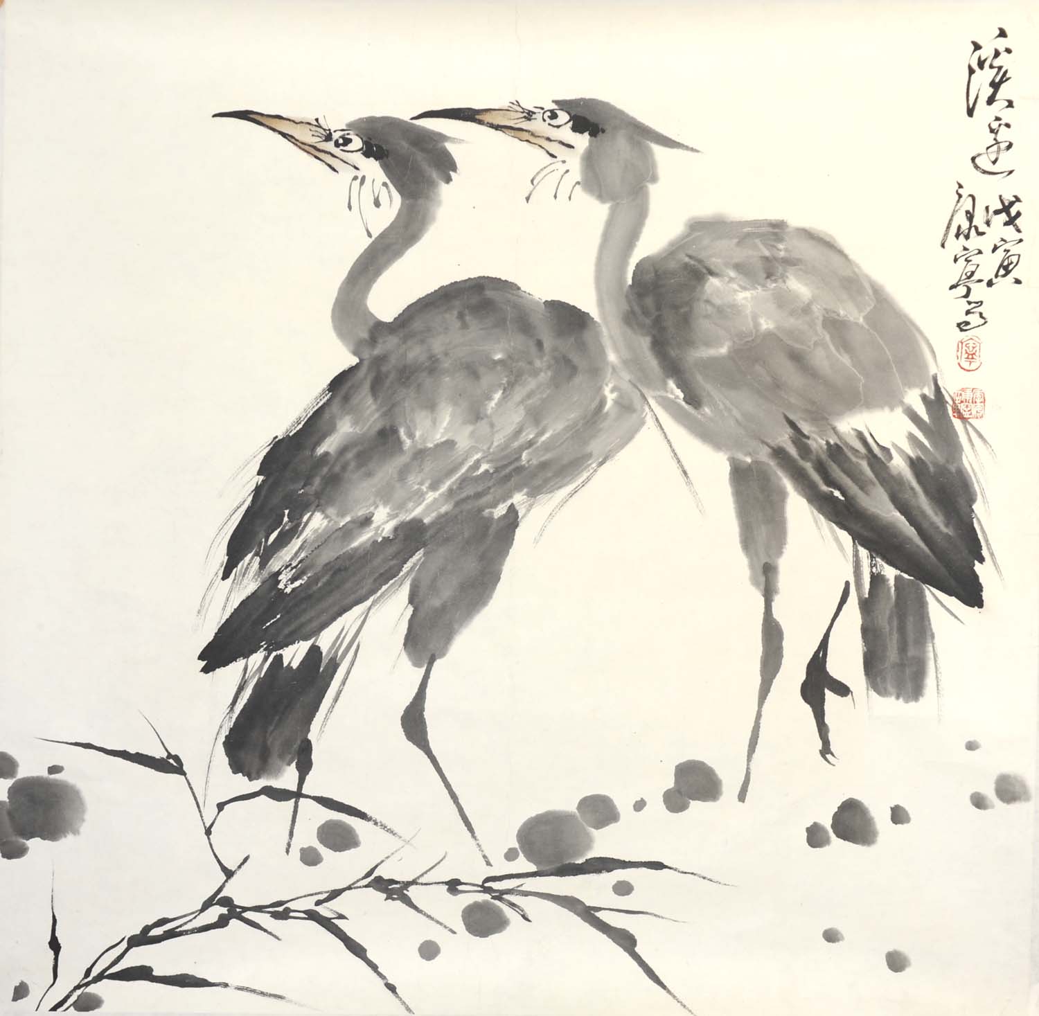 ����kn Ϫ���ֻ���Ʒ