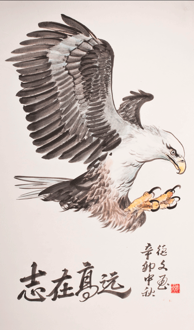 ������hdw ӥ�ֻ���Ʒ