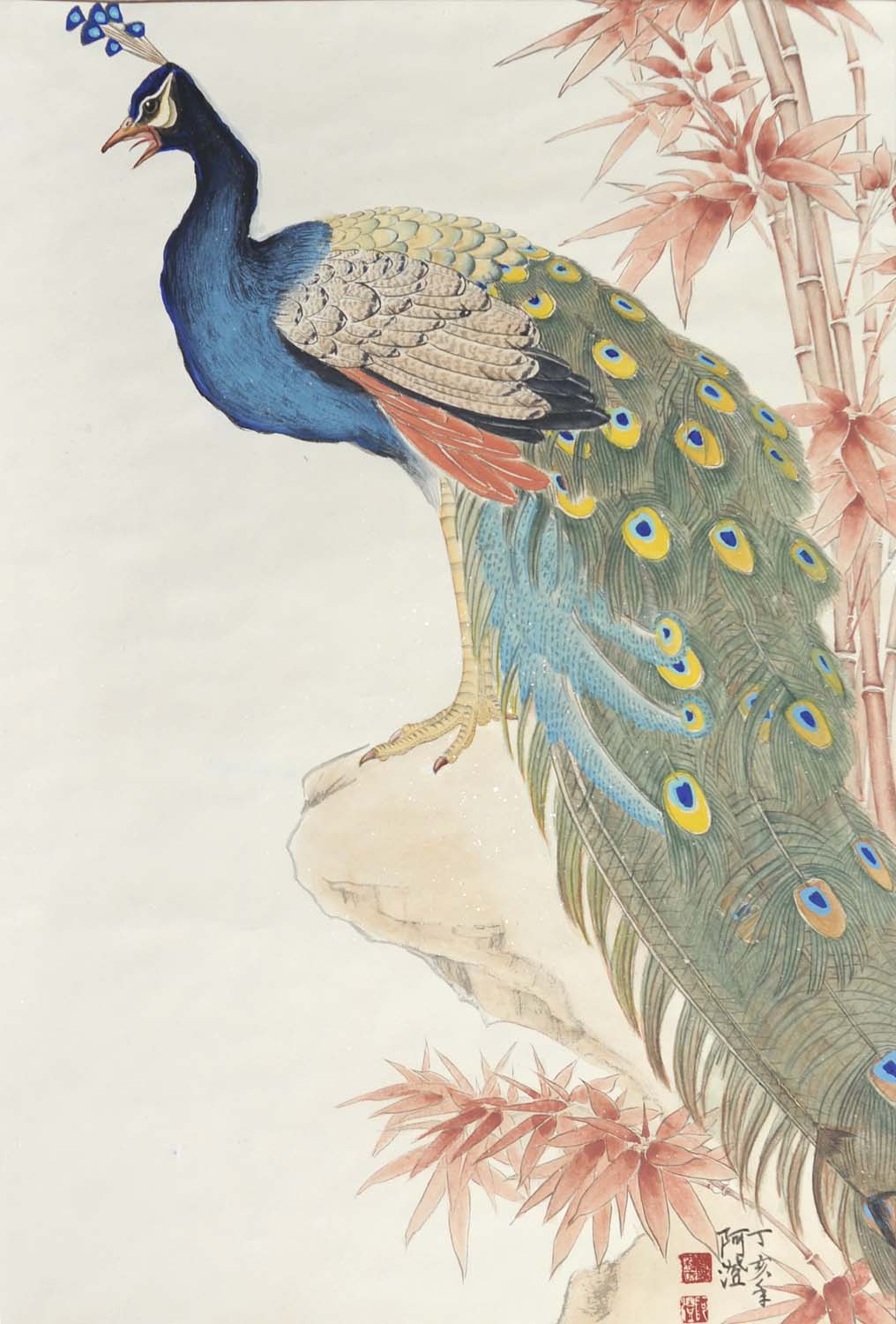 ����ac ��ȸ�ֻ���Ʒ